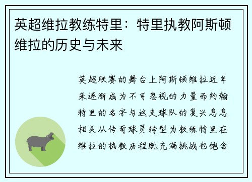 英超维拉教练特里：特里执教阿斯顿维拉的历史与未来